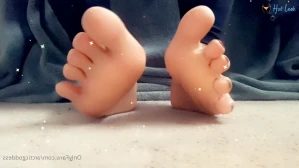 2499895