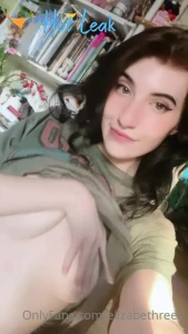 11456311
