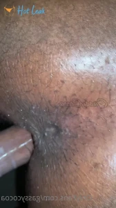 10841668