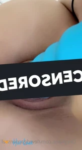 2895419