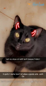 4846283