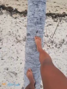 3960051
