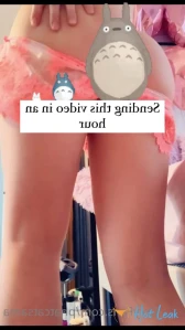 10660149