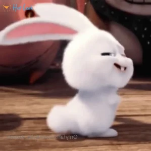 2915142