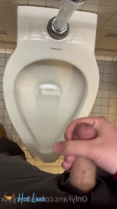 2231513