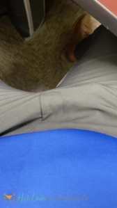 4847812
