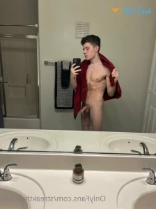 3930274