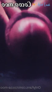 2952325