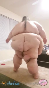 10655635