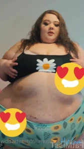 10655651
