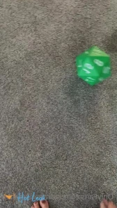2988638