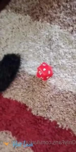 2988653