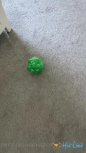 2988684
