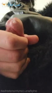 3005298