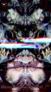 3005591