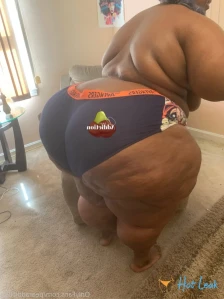 2161851