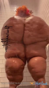 2248820