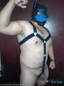 4137322