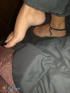 3602554