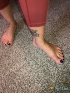 3604590