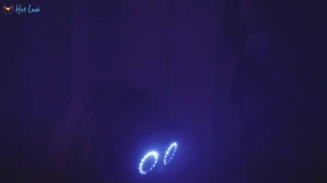 2509612