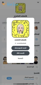 3638116