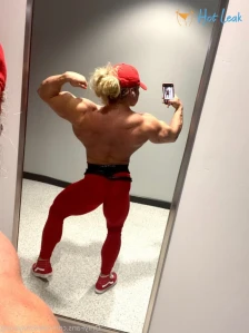3677616