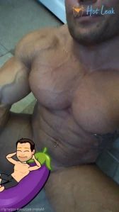 3597338
