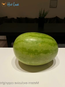 3597633