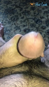 3031453