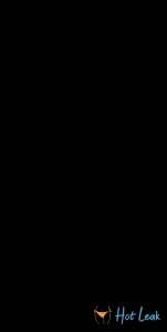 10651654