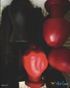 3620591