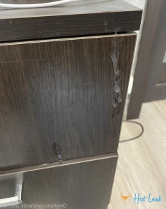 6442682