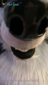 4855936