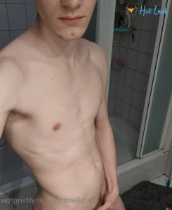 3681482