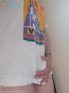 3723720