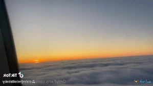 7872362