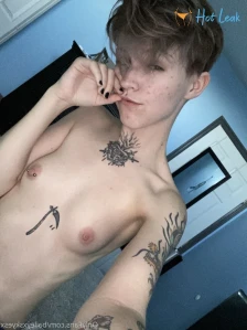 3665548