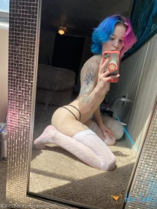 3667557