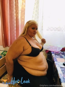 11597041