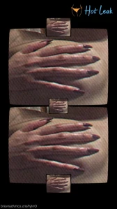 3647392