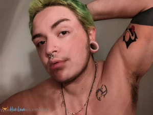3662237