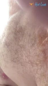 3104455