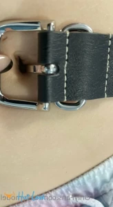 3766675