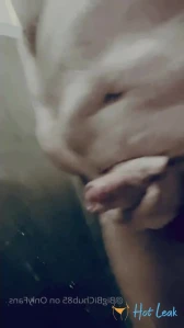 11391447
