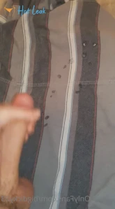3123719