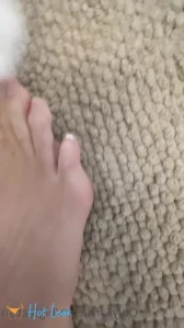 3123812