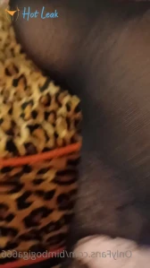 11391717