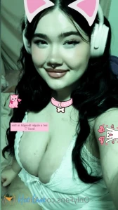 10645511
