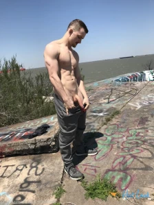 3653315